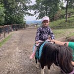 phoca_thumb_m_vlet km 34 Fotogalerie